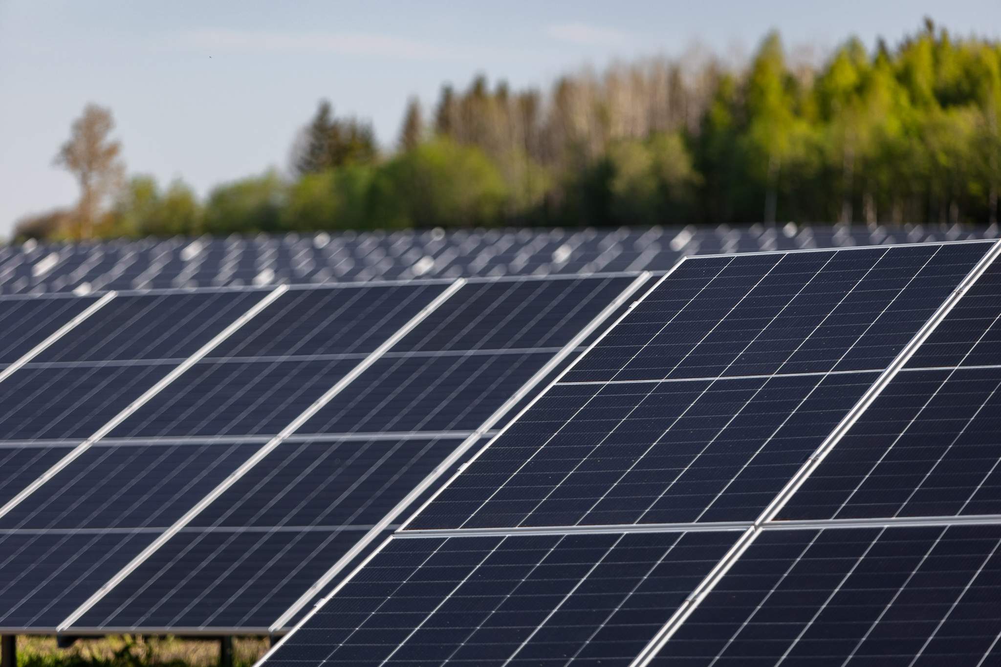 Stelpe solar farm 1